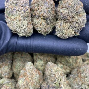 CHERRYLATTO FRITTERS