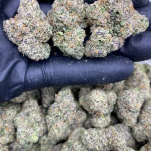 WHITE CHERRY ZERBERT